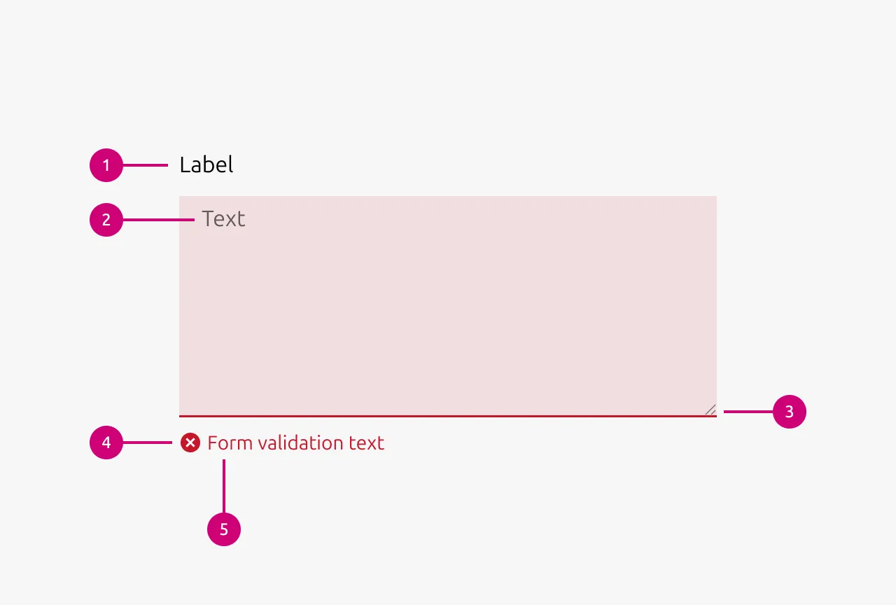 Text area anatomy