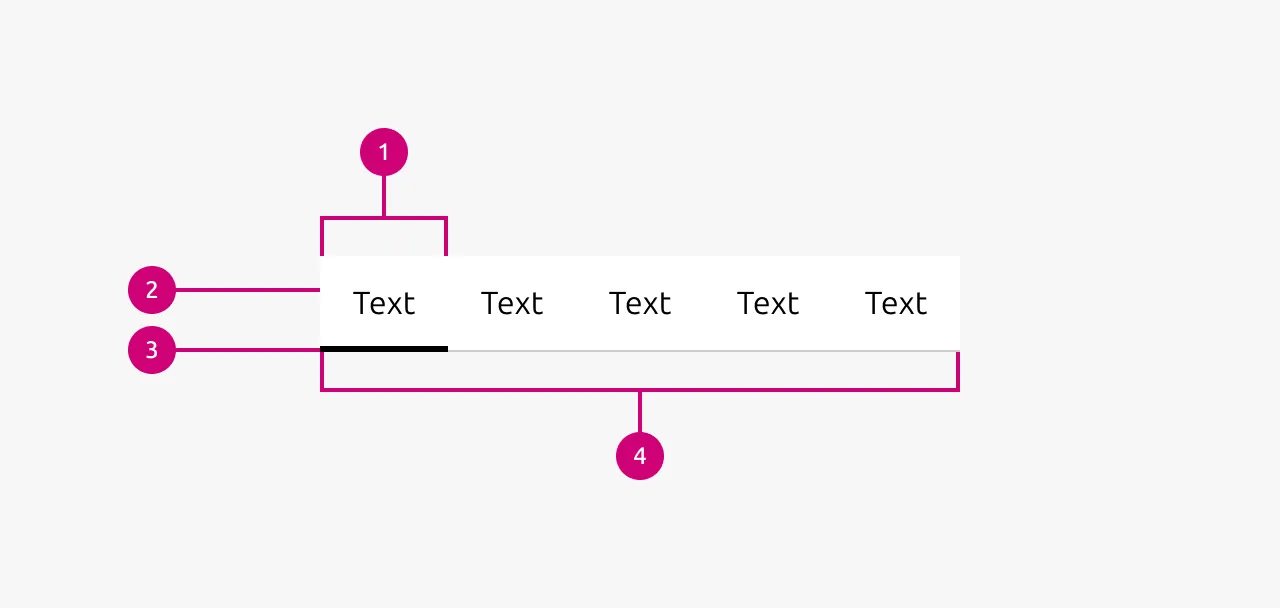 Tabs anatomy