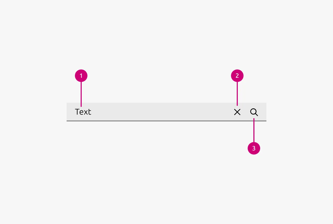 Search anatomy